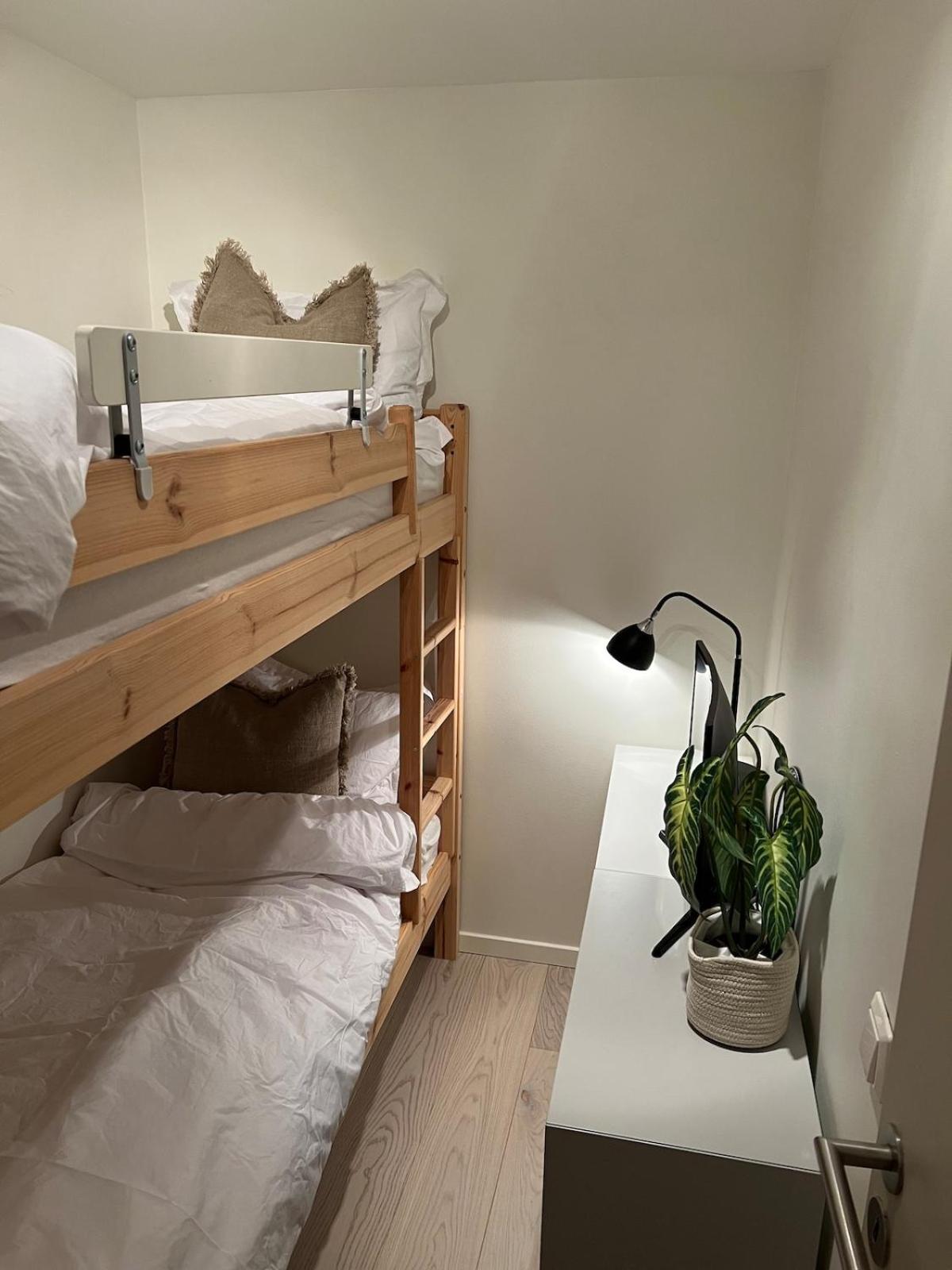 In Oppheim Resort, Pool And View Apartment Voss