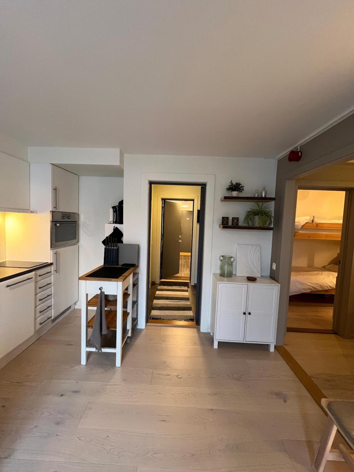In Oppheim Resort, Pool And View Apartment Voss